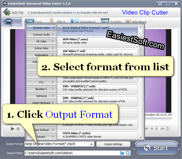 Set output video clip format