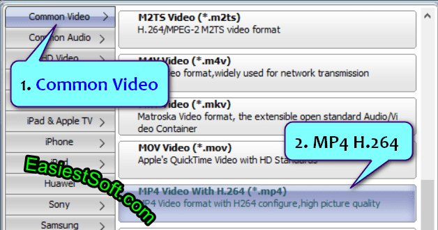 Select MP4 video with h264 codec in Easiest DVD to Video Converter for Windows 10